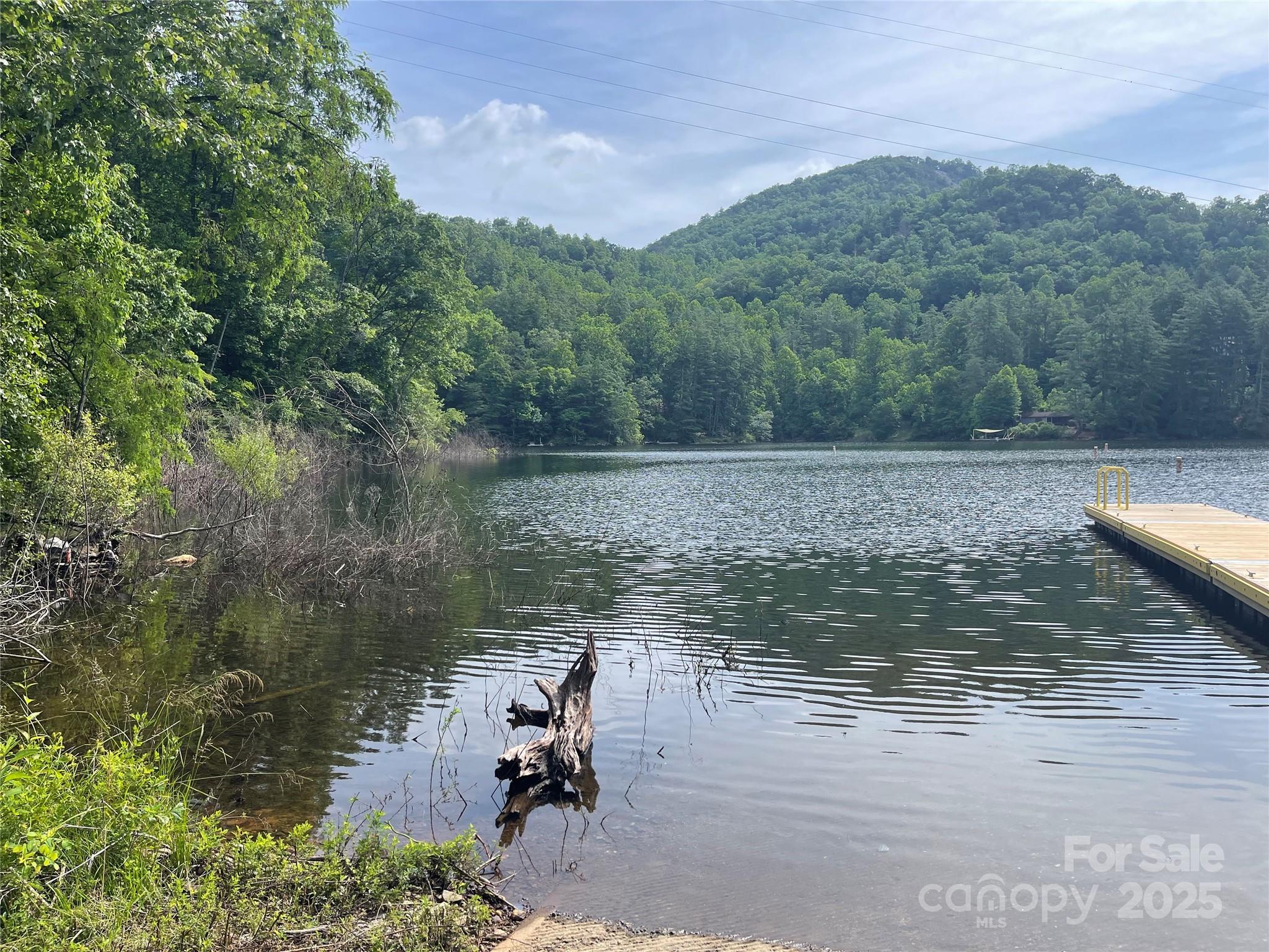 2642 Canada Road Tuckasegee NC 28783