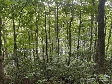 2642 Canada Road Tuckasegee NC 28783