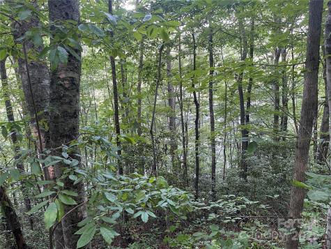 2642 Canada Road Tuckasegee NC 28783