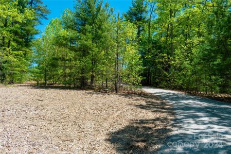 593 Mountain View Church Road Zirconia NC 28790
