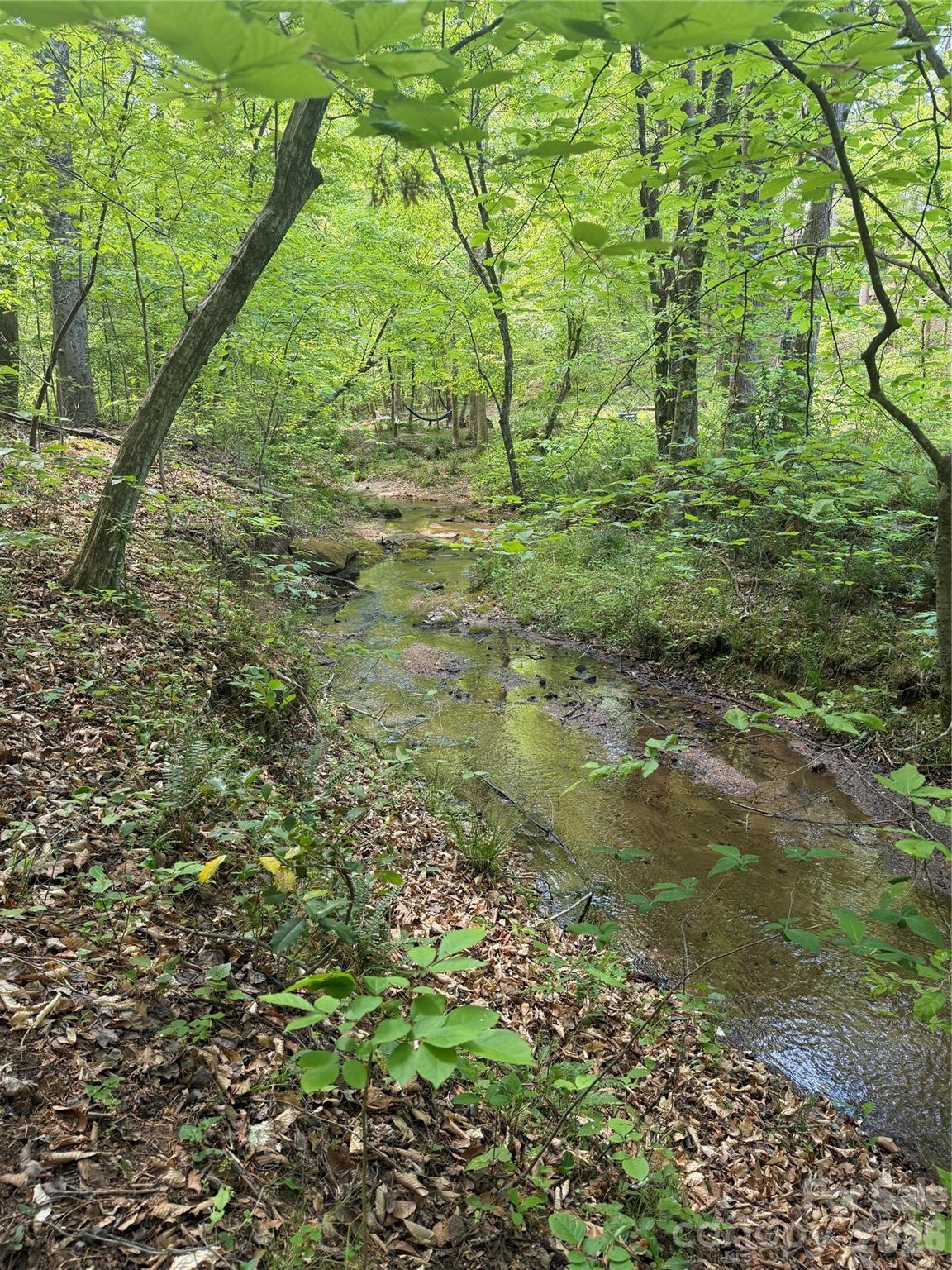 0 Overstone Drive Rutherfordton NC 28139