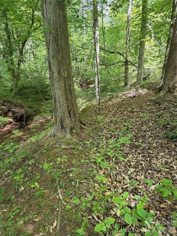 0 Overstone Drive Rutherfordton NC 28139
