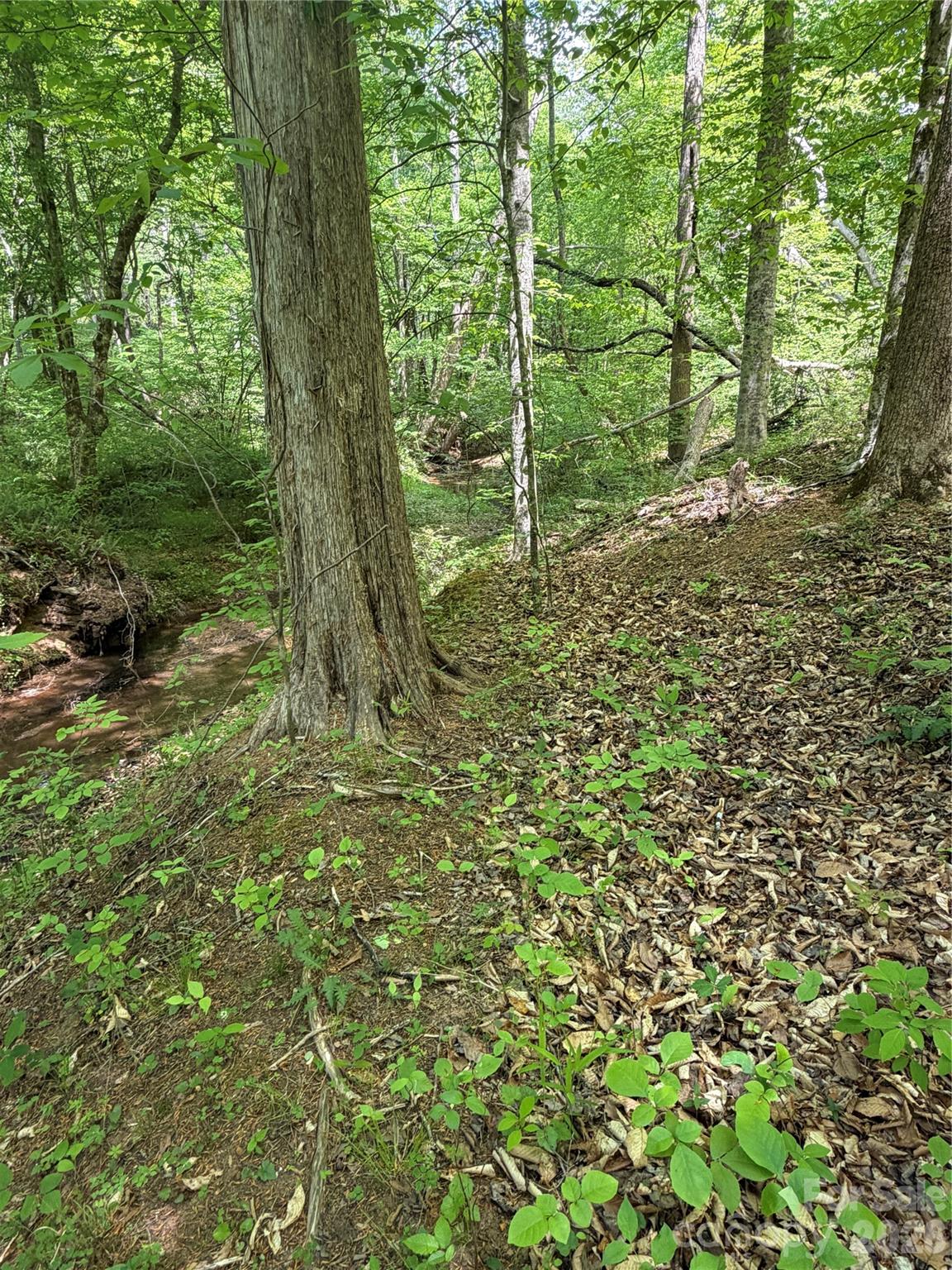 0 Overstone Drive Rutherfordton NC 28139