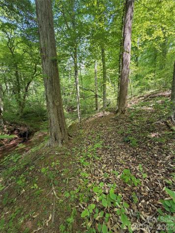 0 Overstone Drive Rutherfordton NC 28139