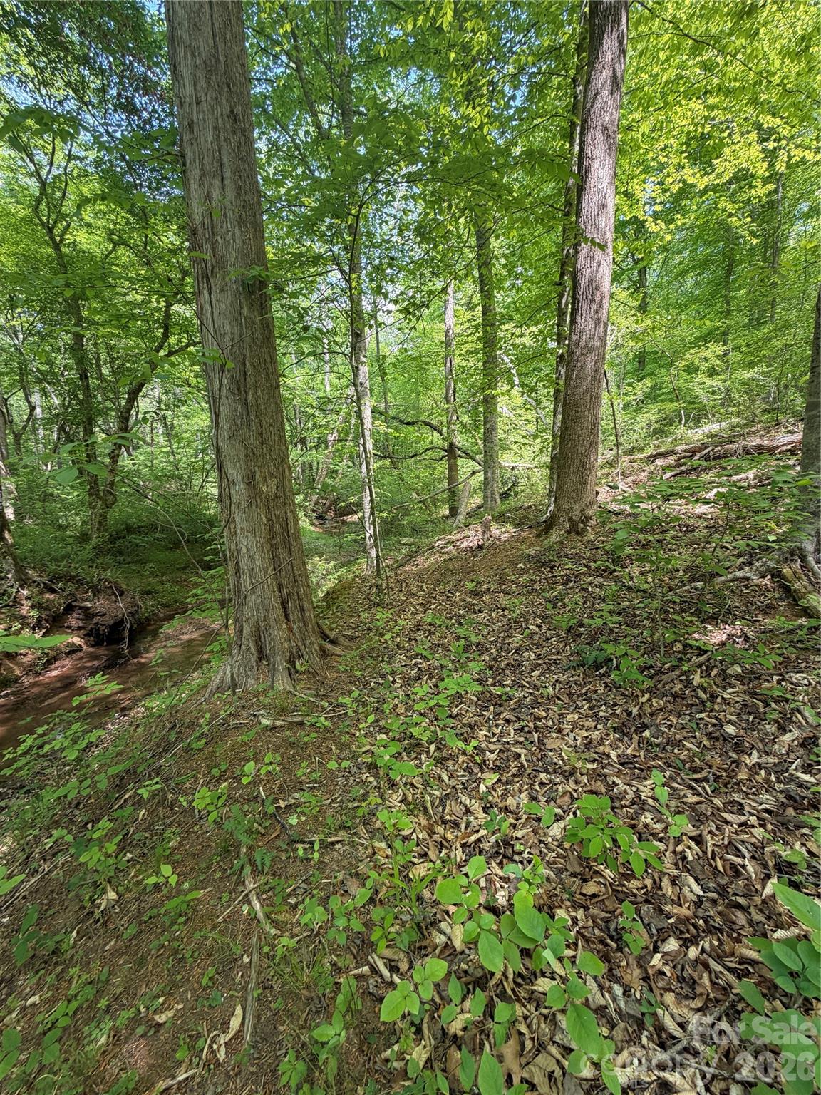 0 Overstone Drive Rutherfordton NC 28139