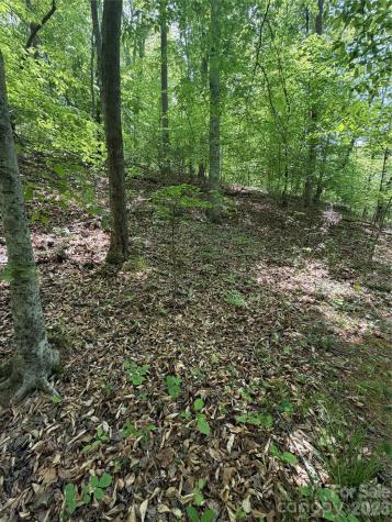 0 Overstone Drive Rutherfordton NC 28139