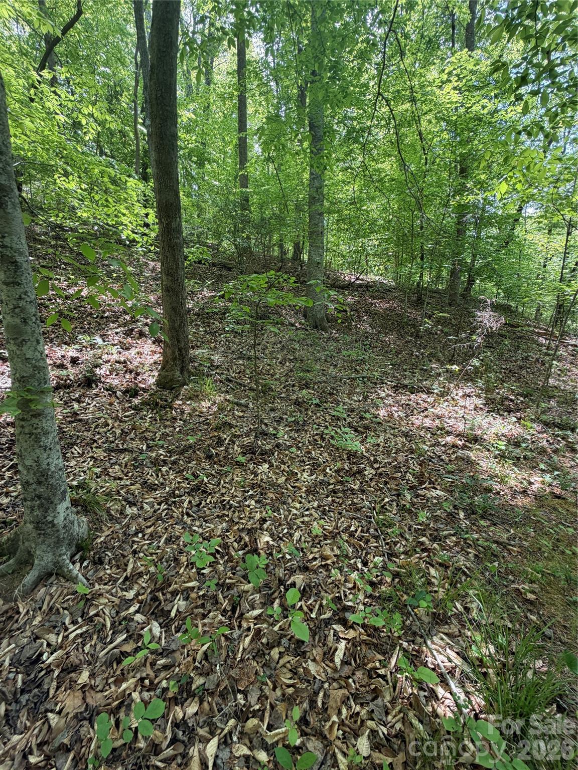 0 Overstone Drive Rutherfordton NC 28139