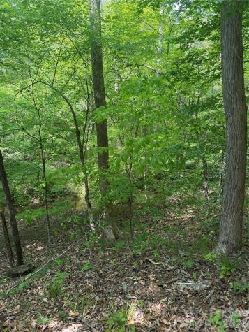 0 Overstone Drive Rutherfordton NC 28139
