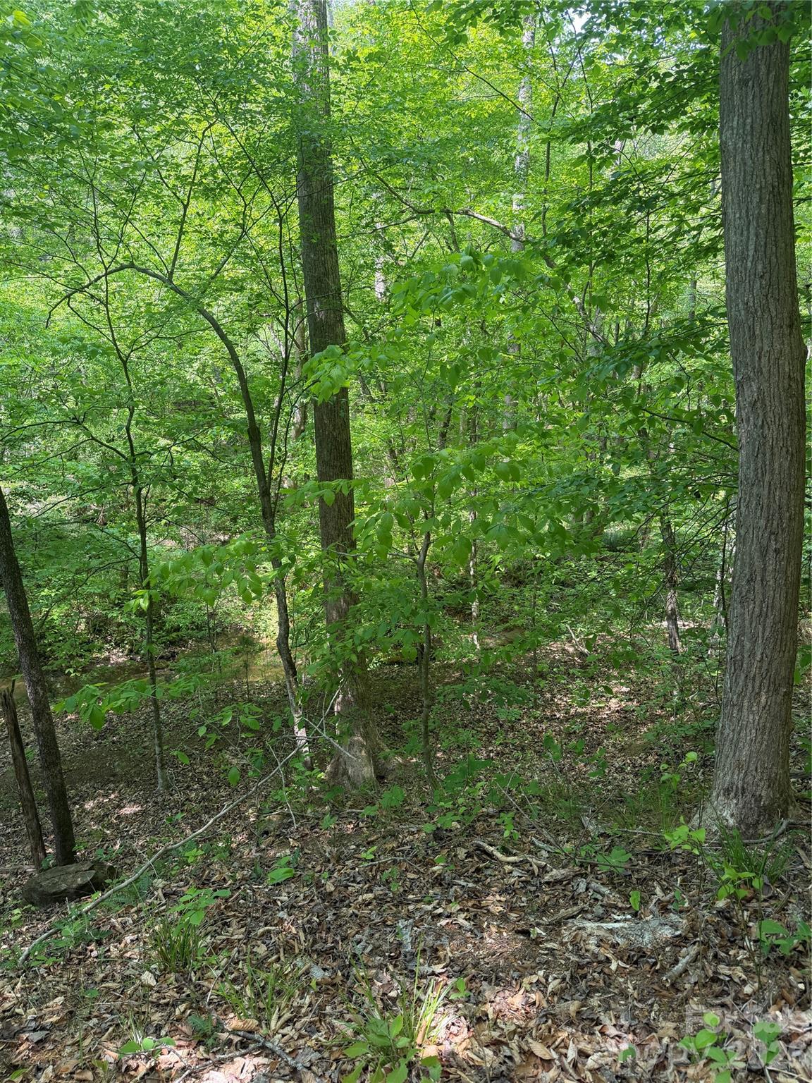 0 Overstone Drive Rutherfordton NC 28139