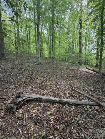 0 Overstone Drive Rutherfordton NC 28139