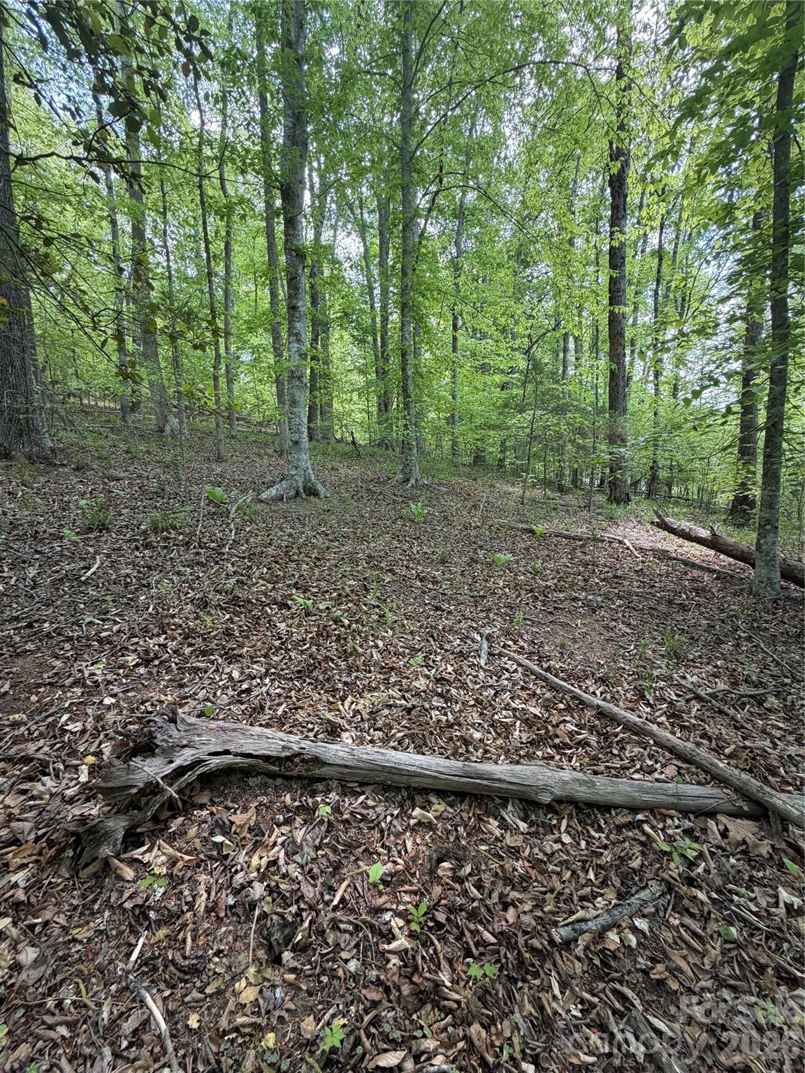 0 Overstone Drive Rutherfordton NC 28139