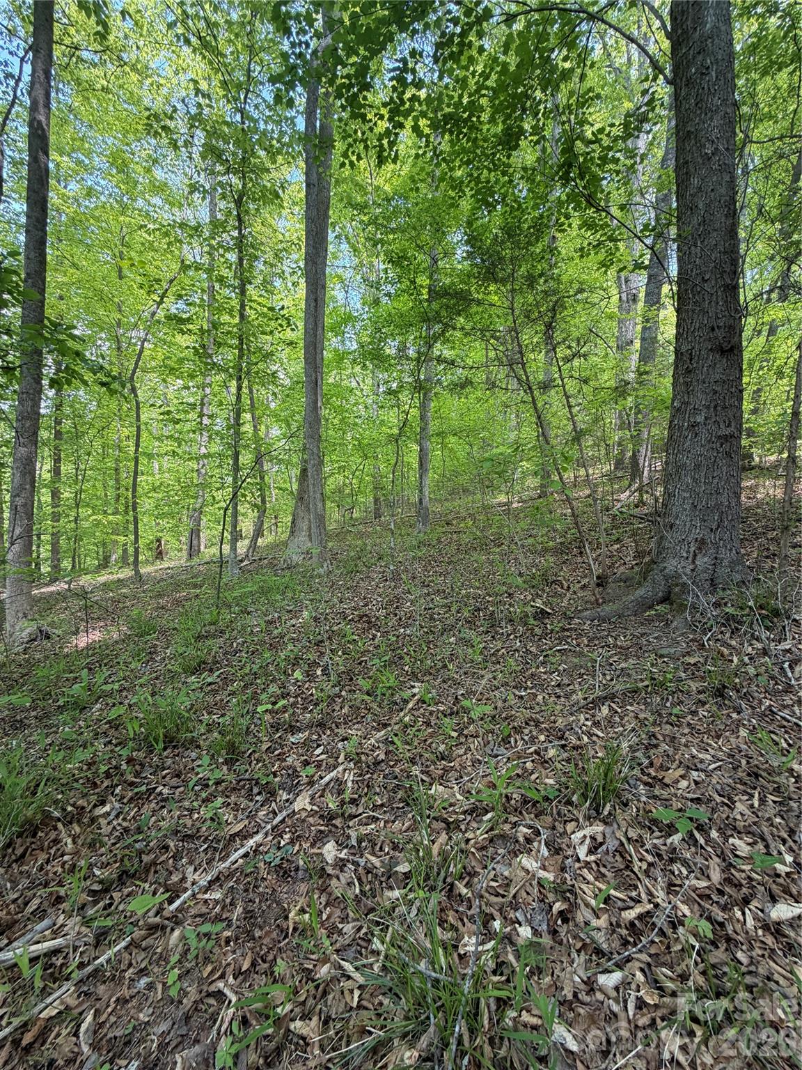 0 Overstone Drive Rutherfordton NC 28139