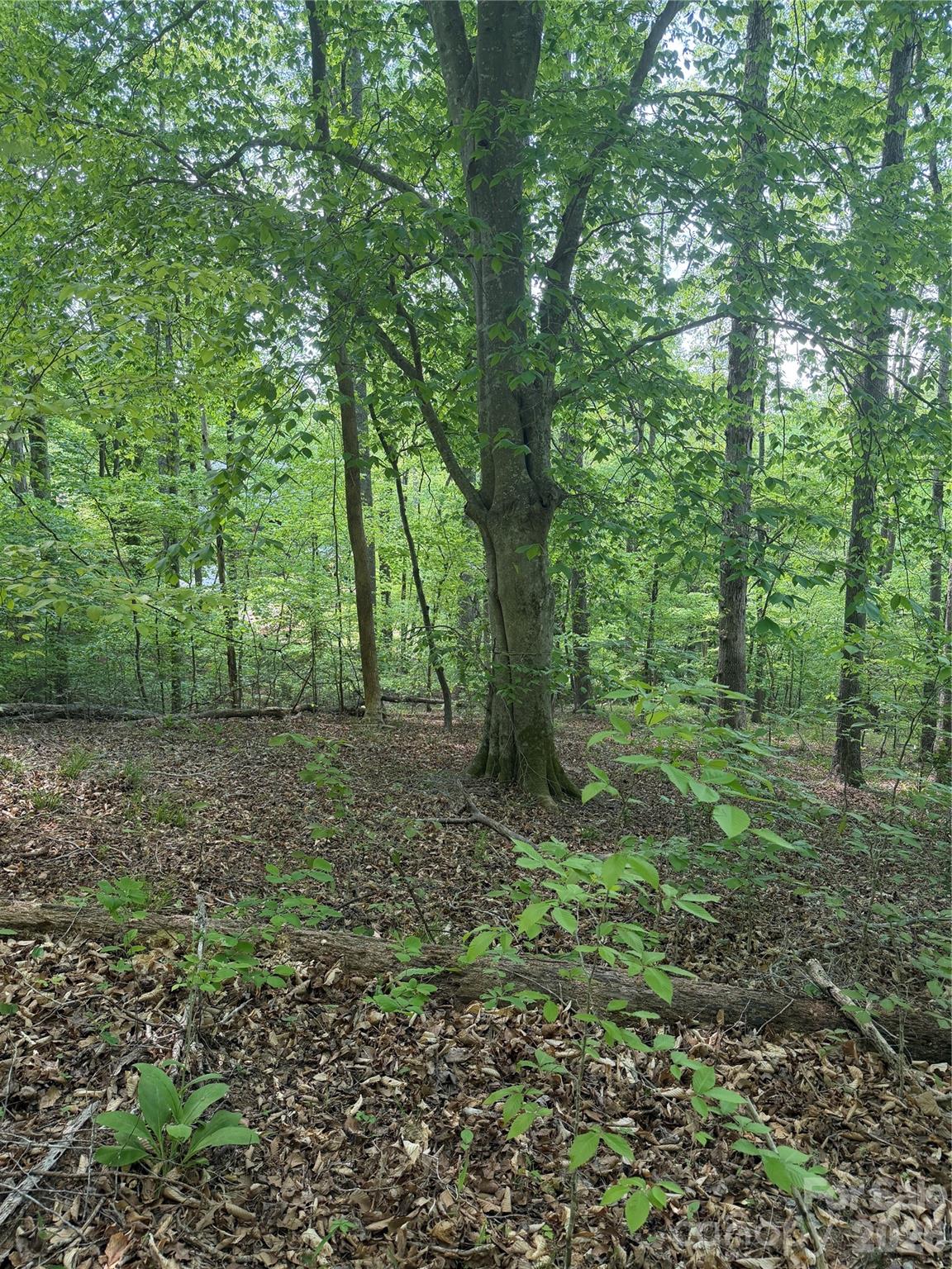0 Overstone Drive Rutherfordton NC 28139