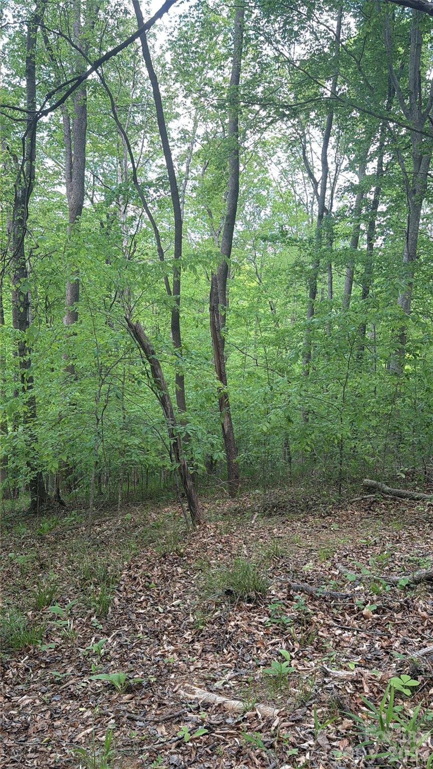 0 Overstone Drive Rutherfordton NC 28139