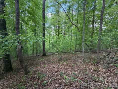 0 Overstone Drive Rutherfordton NC 28139