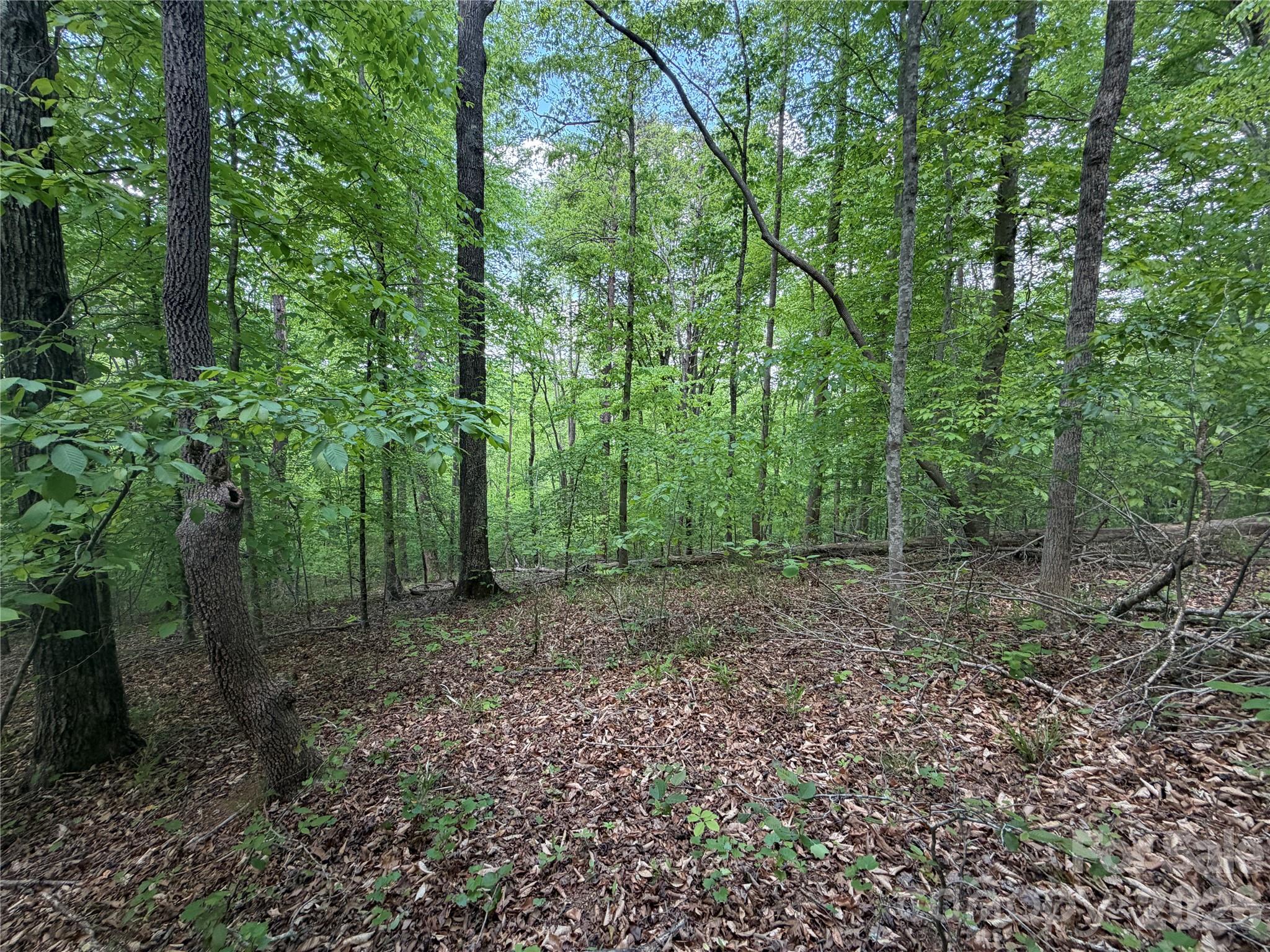 0 Overstone Drive Rutherfordton NC 28139