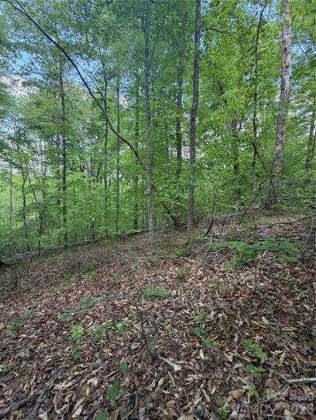 0 Overstone Drive Rutherfordton NC 28139