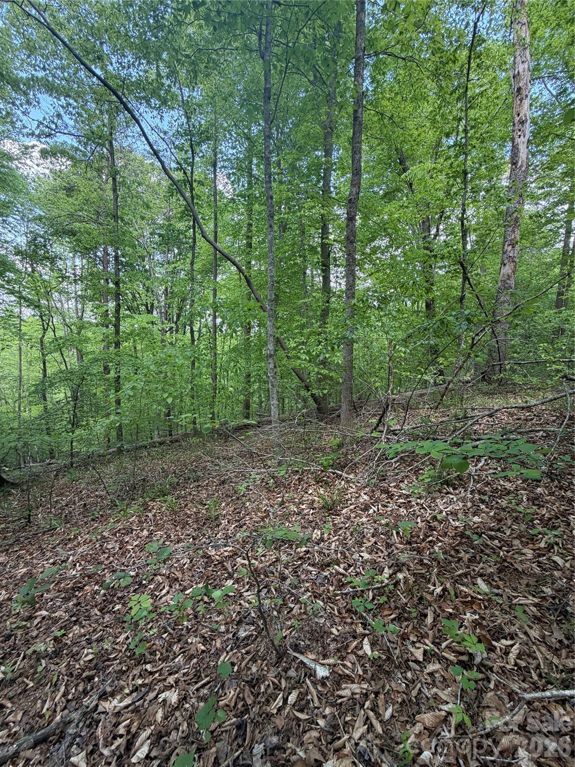 0 Overstone Drive Rutherfordton NC 28139