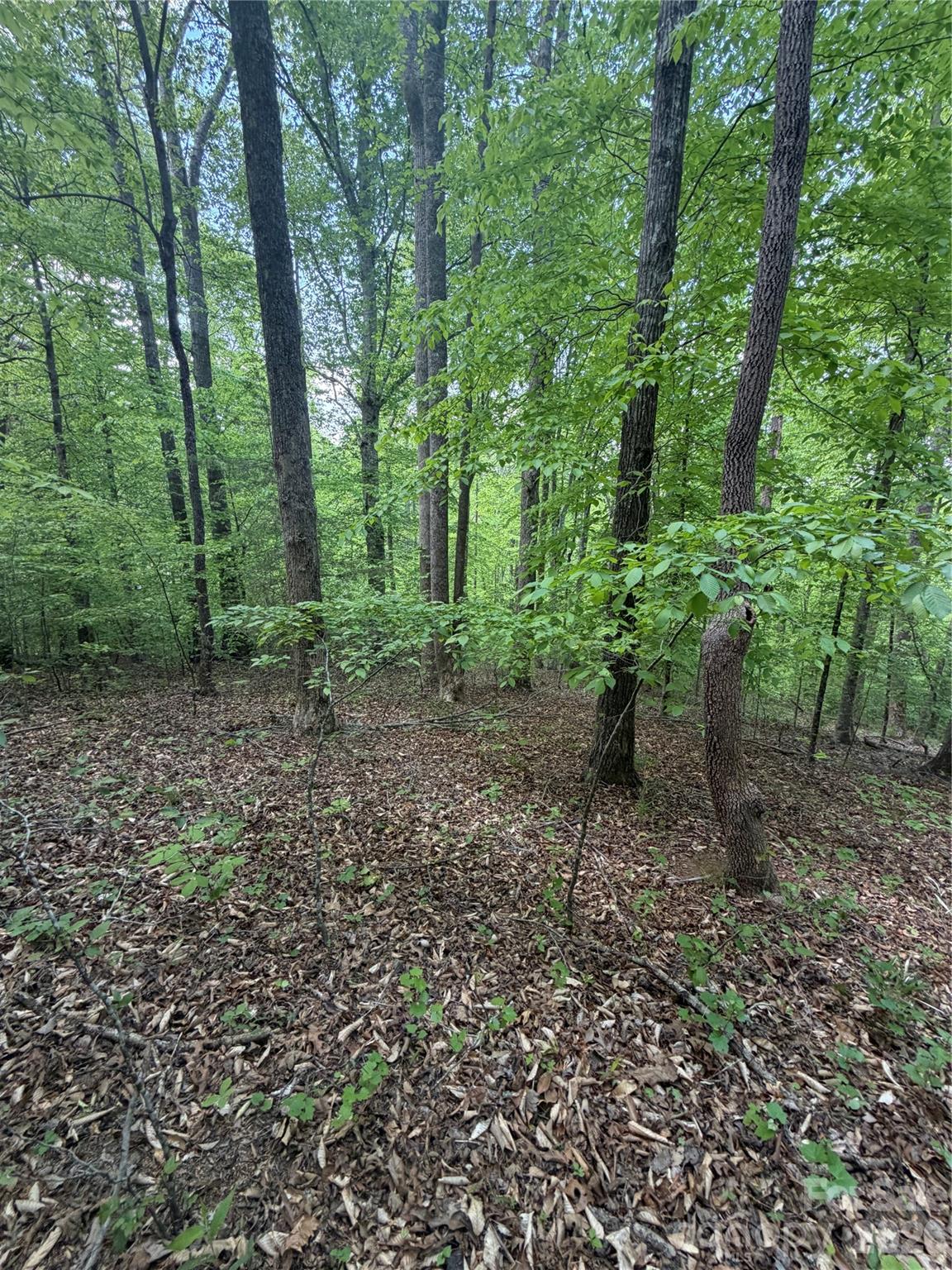 0 Overstone Drive Rutherfordton NC 28139