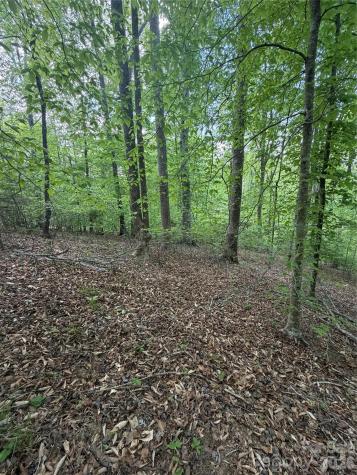 0 Overstone Drive Rutherfordton NC 28139