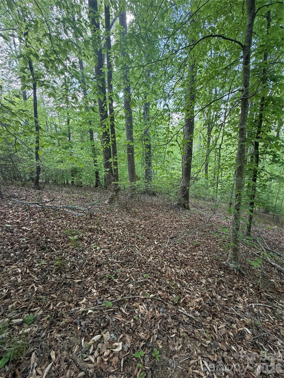 0 Overstone Drive Rutherfordton NC 28139