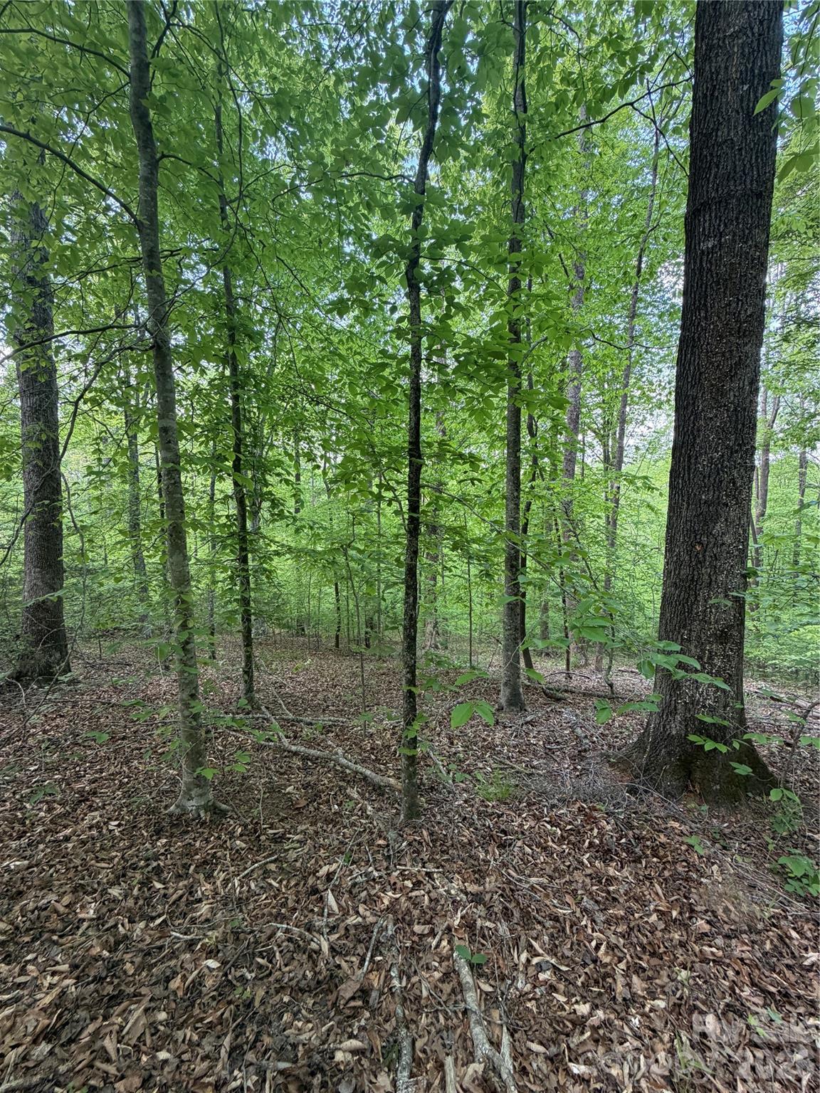 0 Overstone Drive Rutherfordton NC 28139