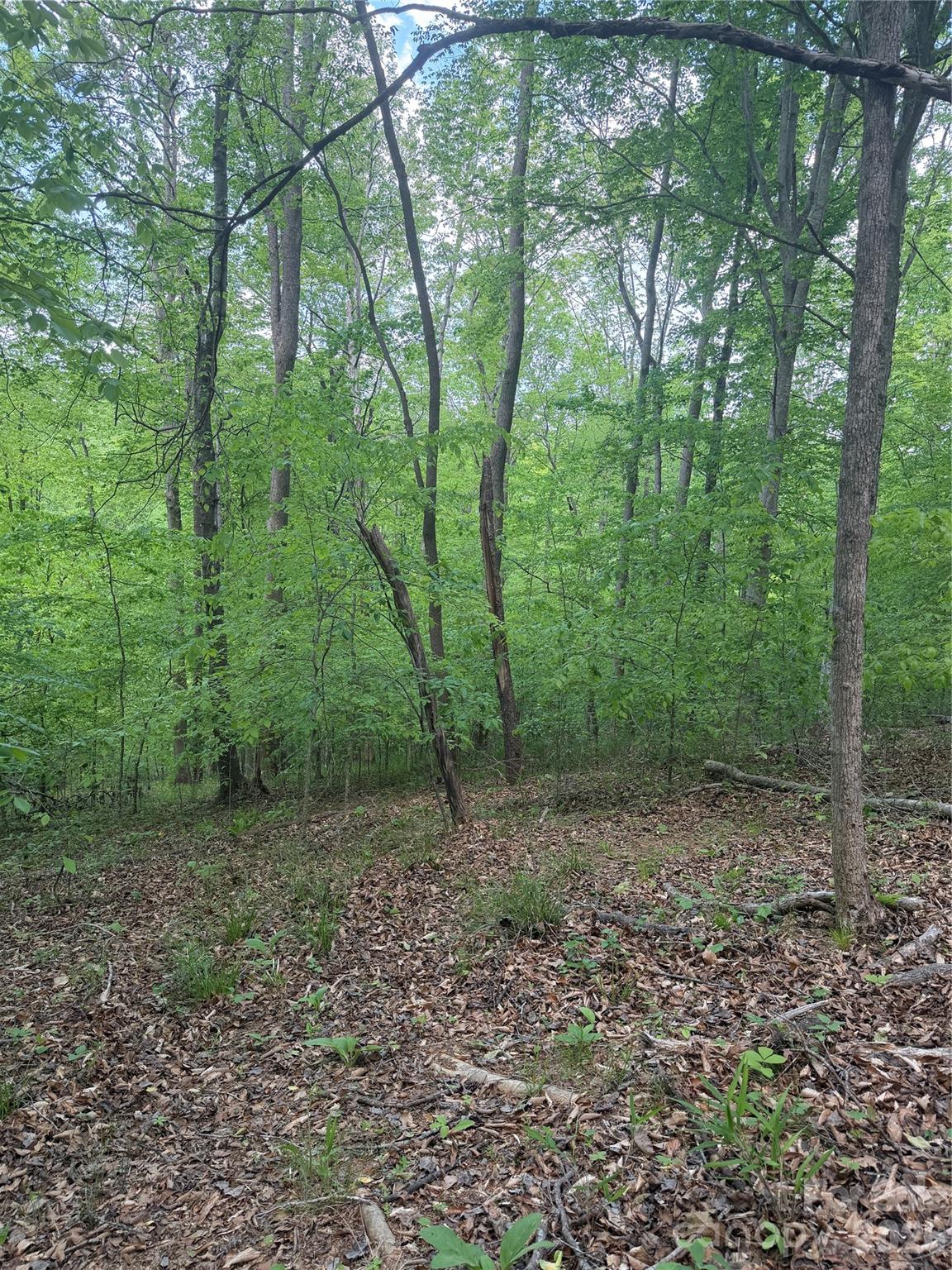 0 Overstone Drive Rutherfordton NC 28139