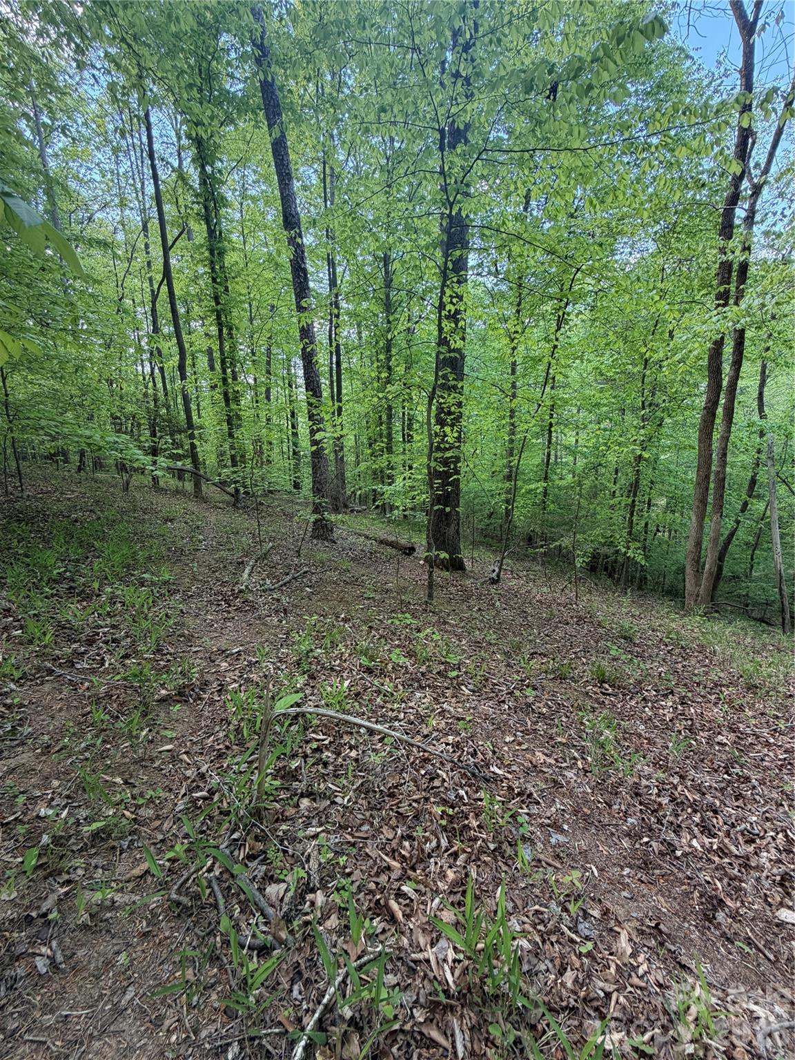 0 Overstone Drive Rutherfordton NC 28139