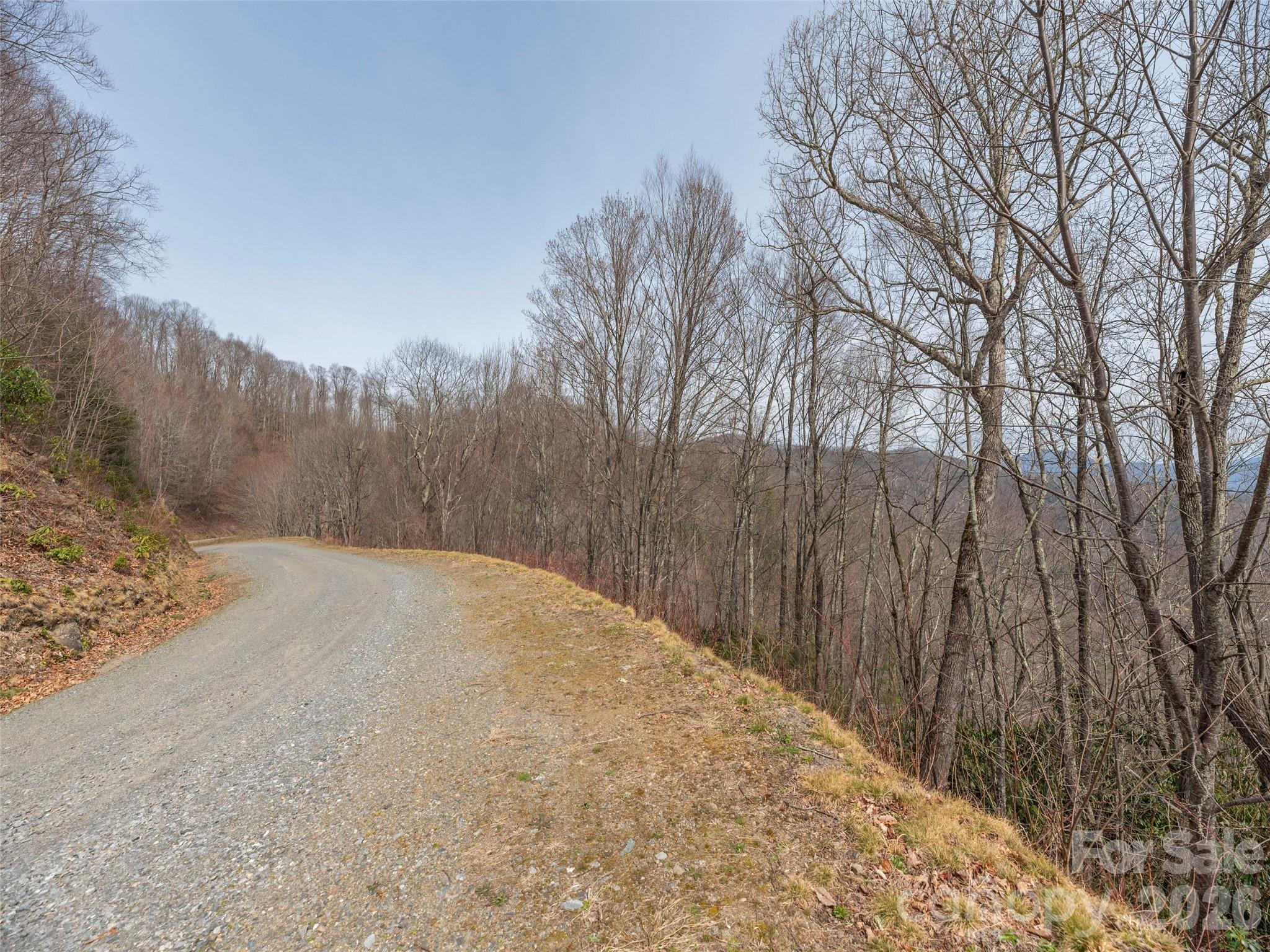 0000 Sigogglin Trail Waynesville NC 28785