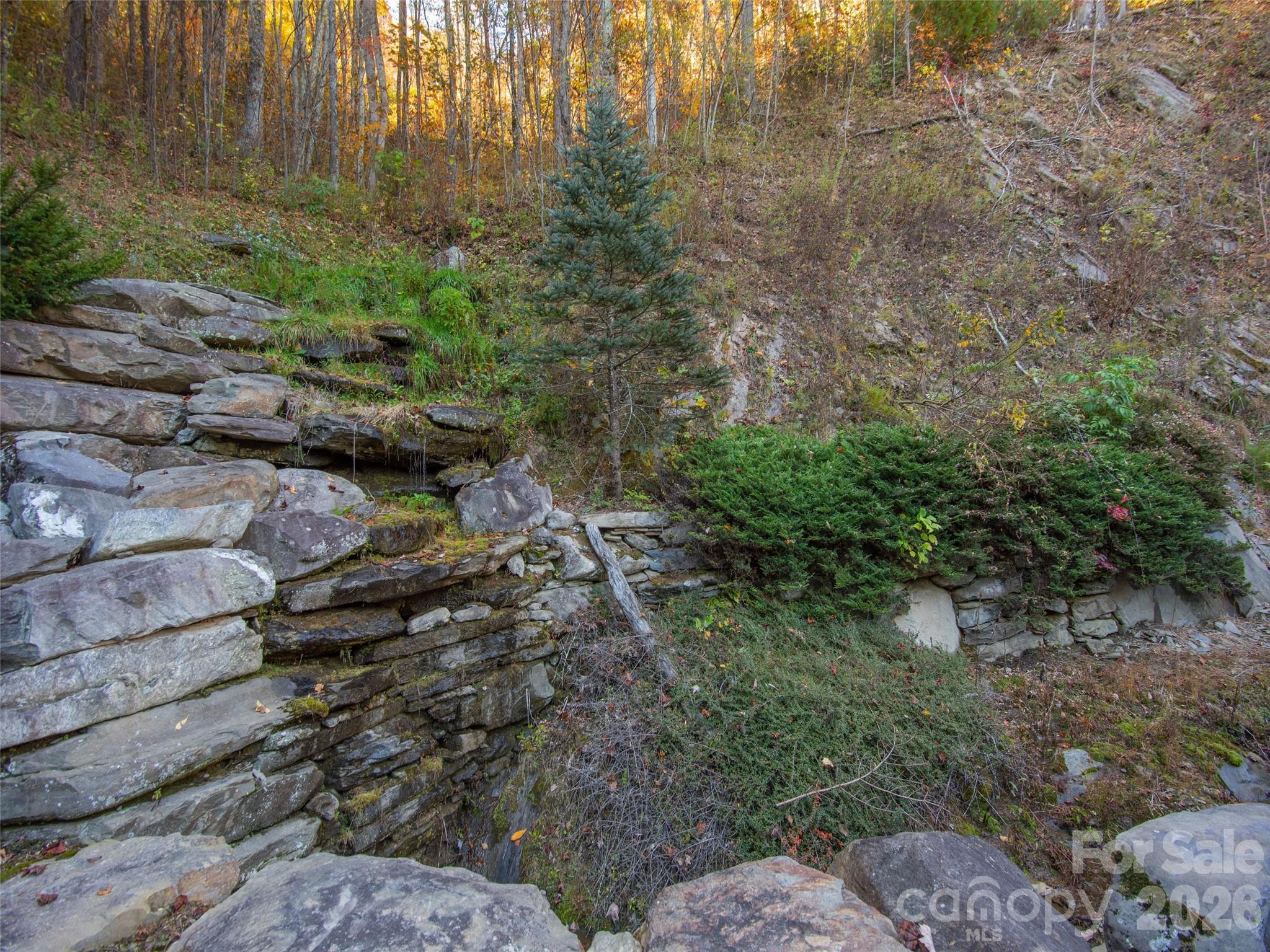 0000 Sigogglin Trail Waynesville NC 28785