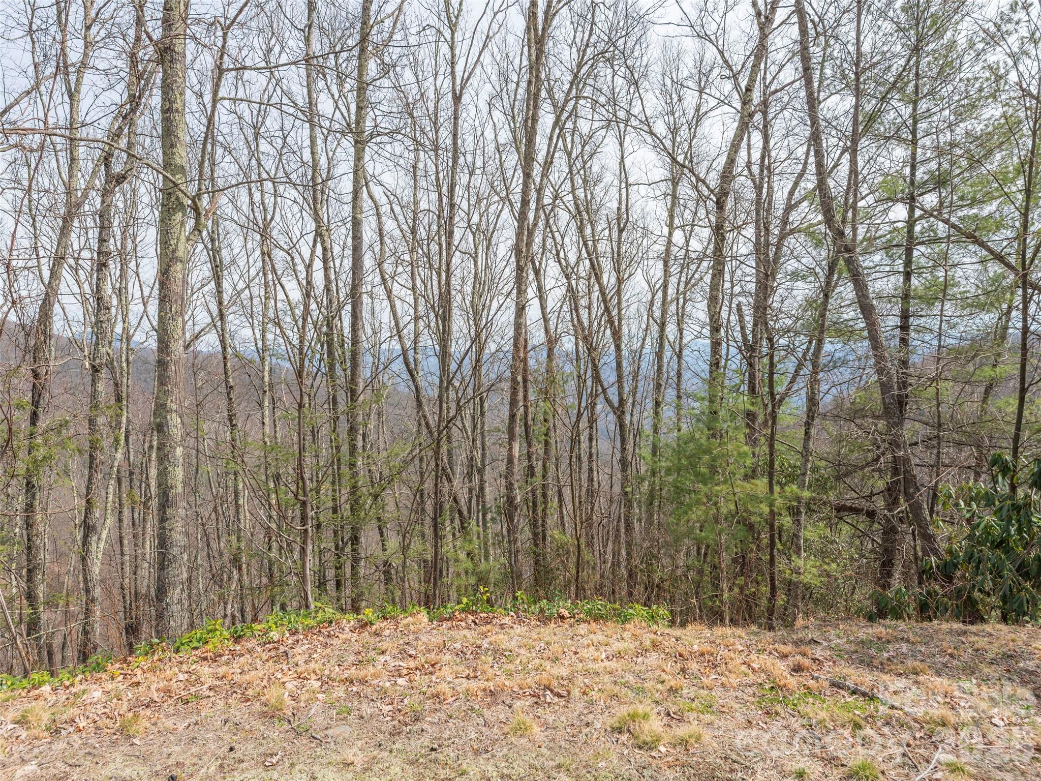 0000 Sigogglin Trail Waynesville NC 28785