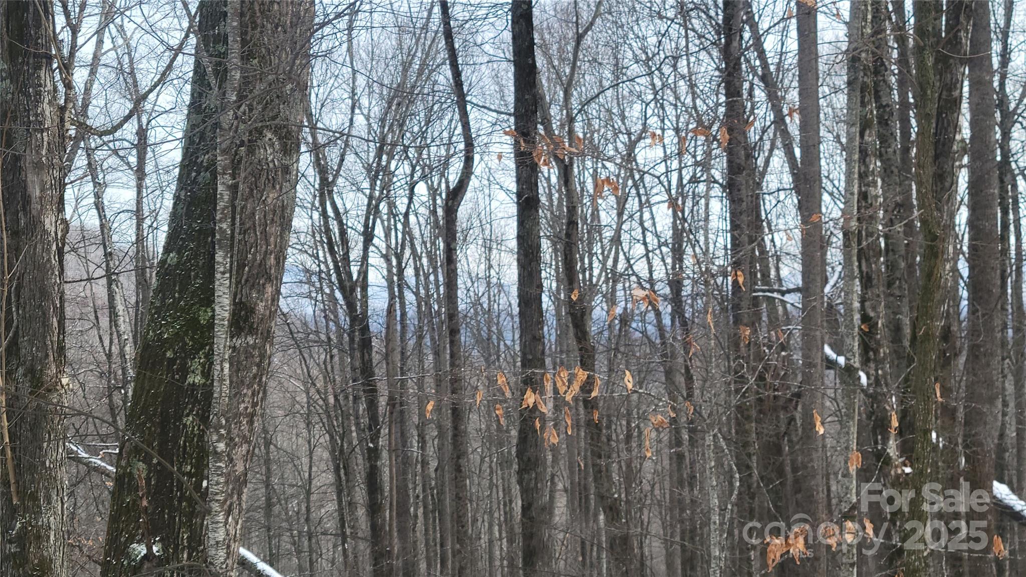 Lot 7b Hickory Springs Road Burnsville NC 28714