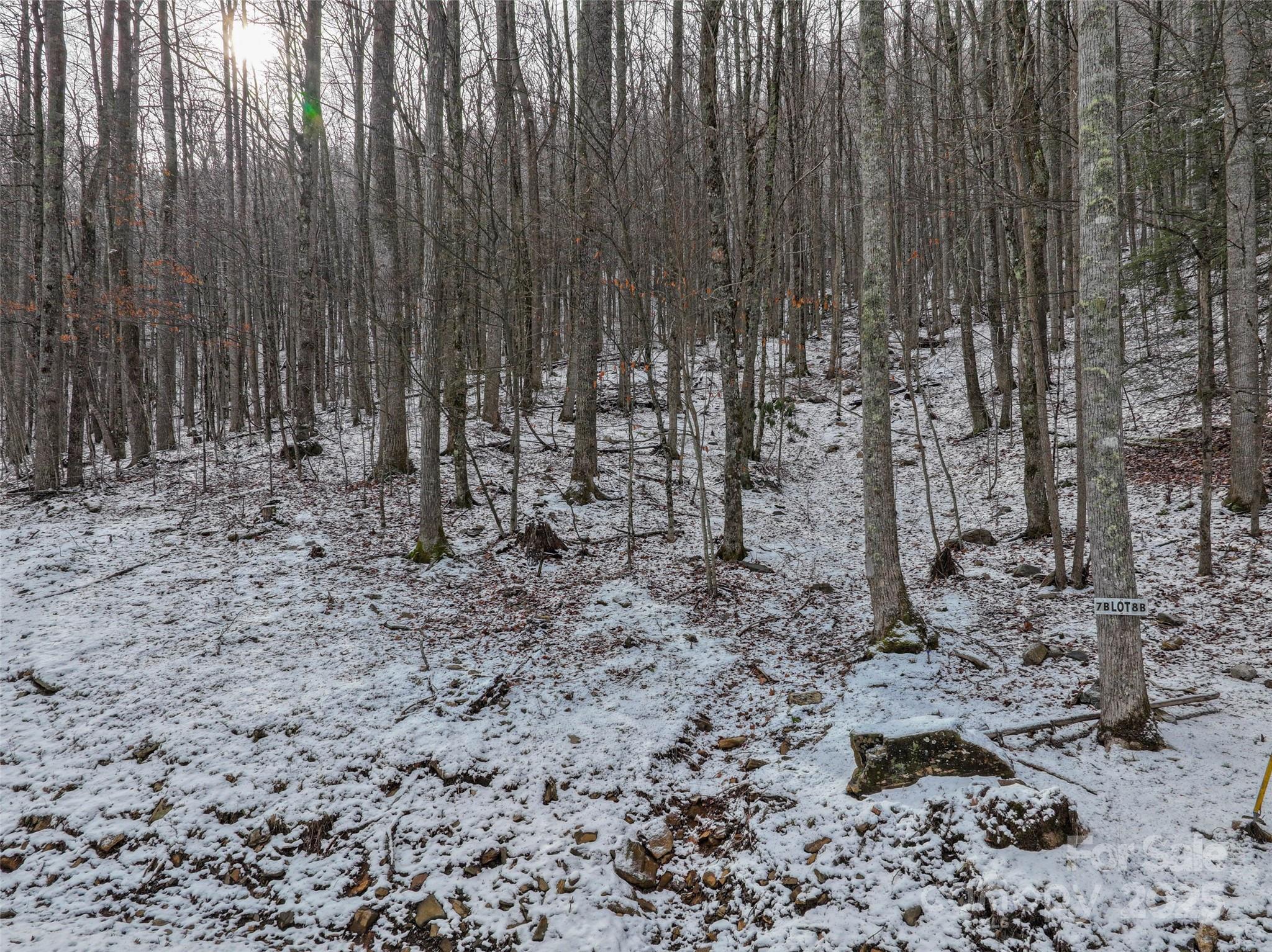 Lot 7b Hickory Springs Road Burnsville NC 28714
