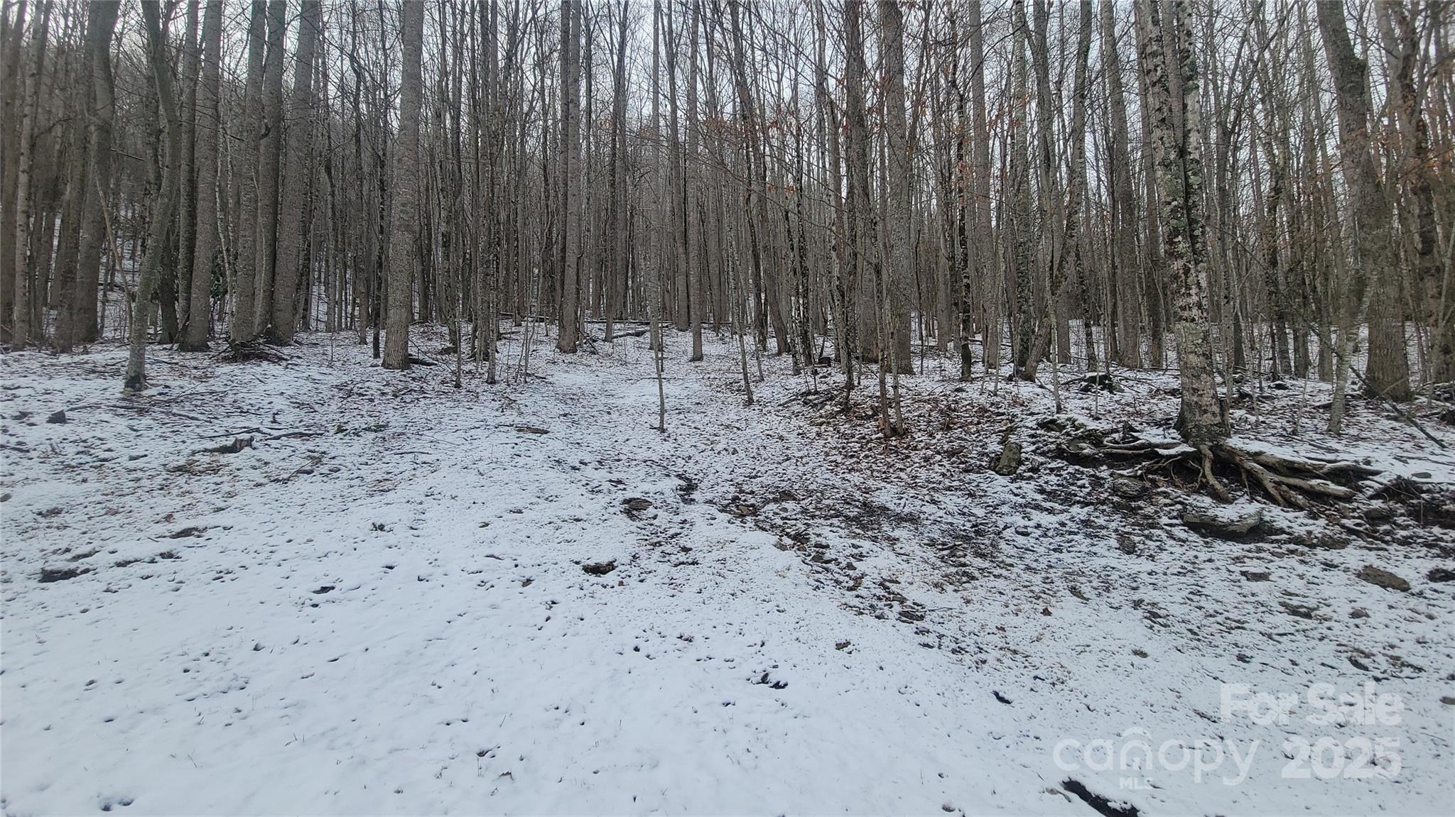 Lot 7b Hickory Springs Road Burnsville NC 28714
