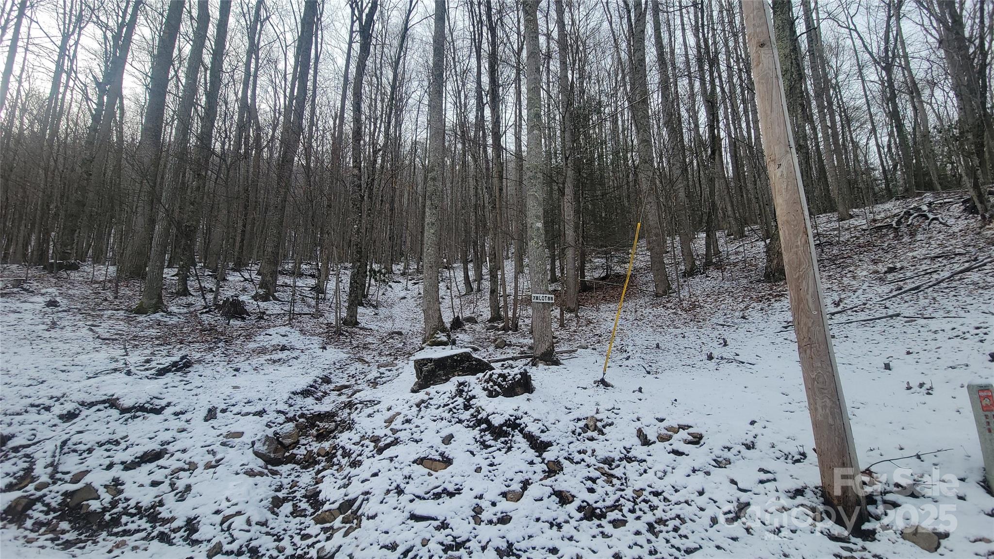 Lot 7b Hickory Springs Road Burnsville NC 28714