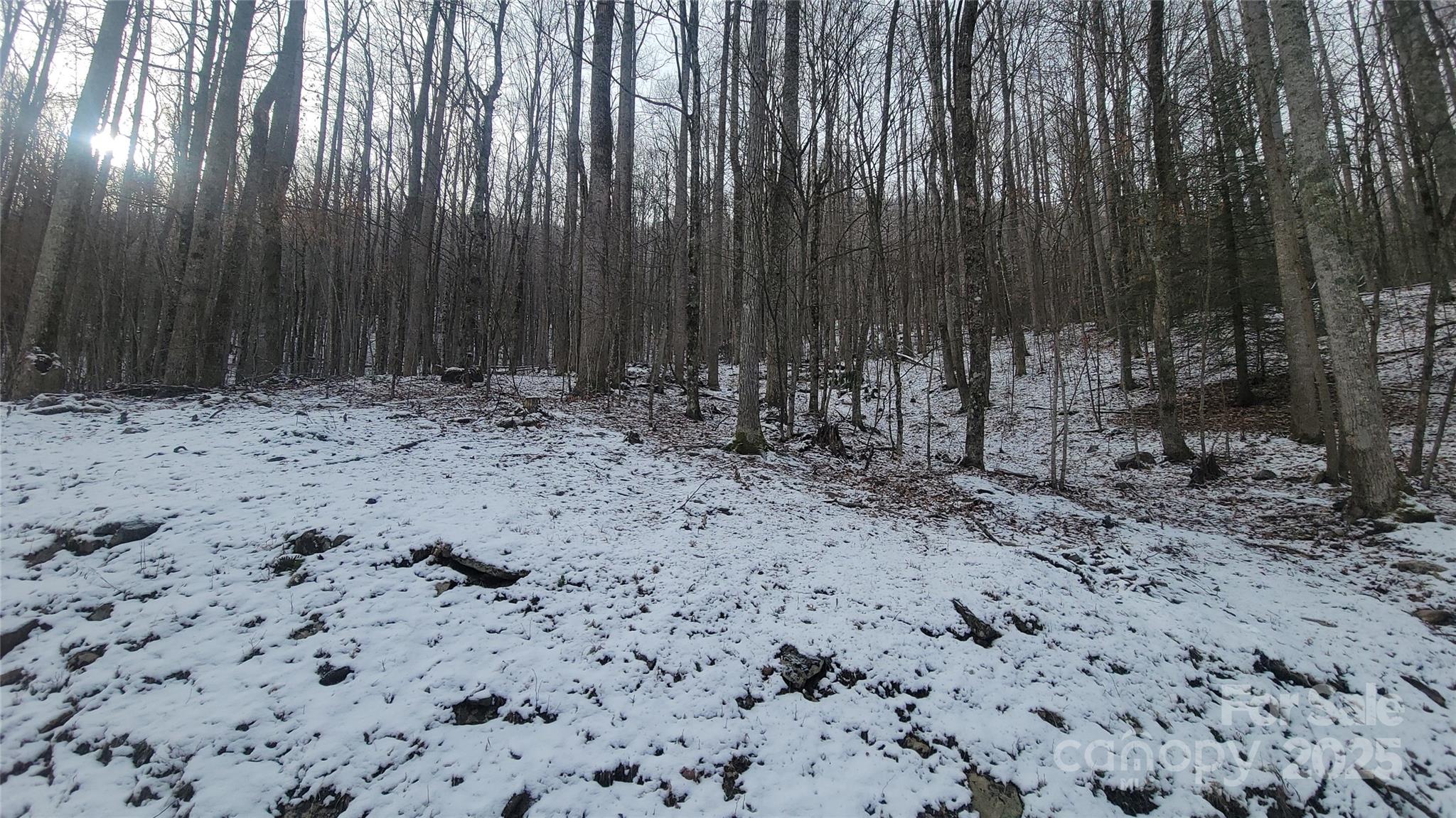 Lot 7b Hickory Springs Road Burnsville NC 28714