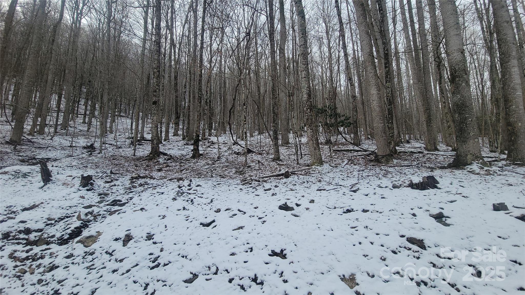 Lot 7b Hickory Springs Road Burnsville NC 28714