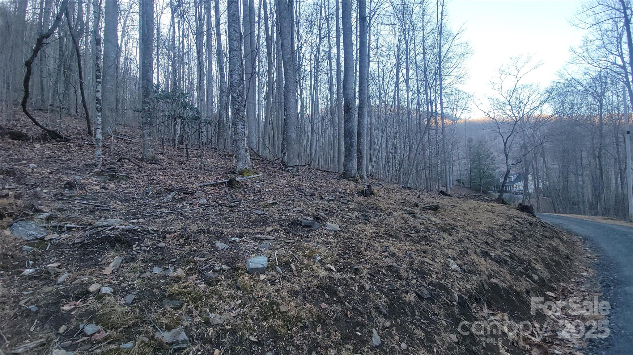 Lot 7b Hickory Springs Road Burnsville NC 28714