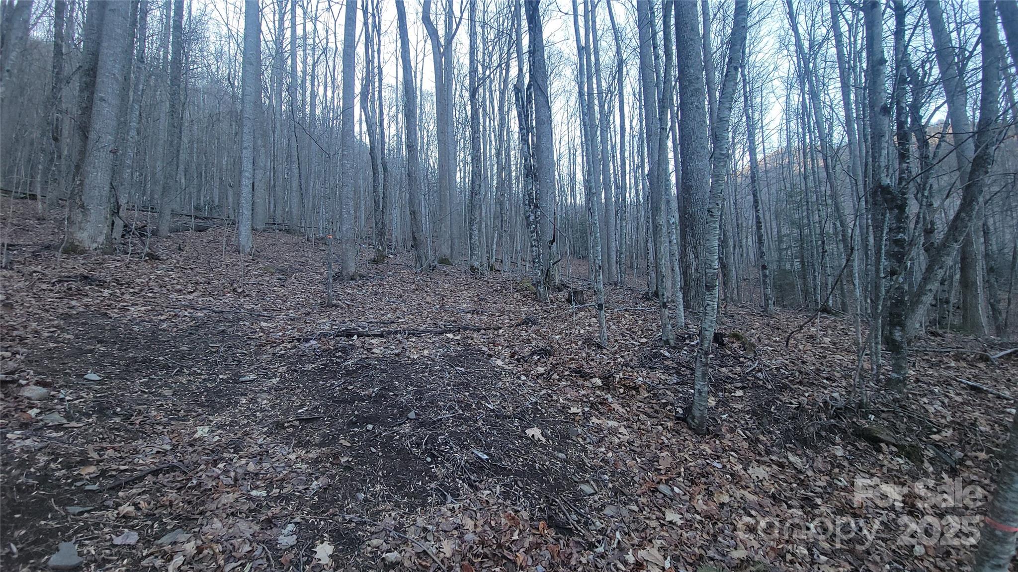 Lot 7b Hickory Springs Road Burnsville NC 28714