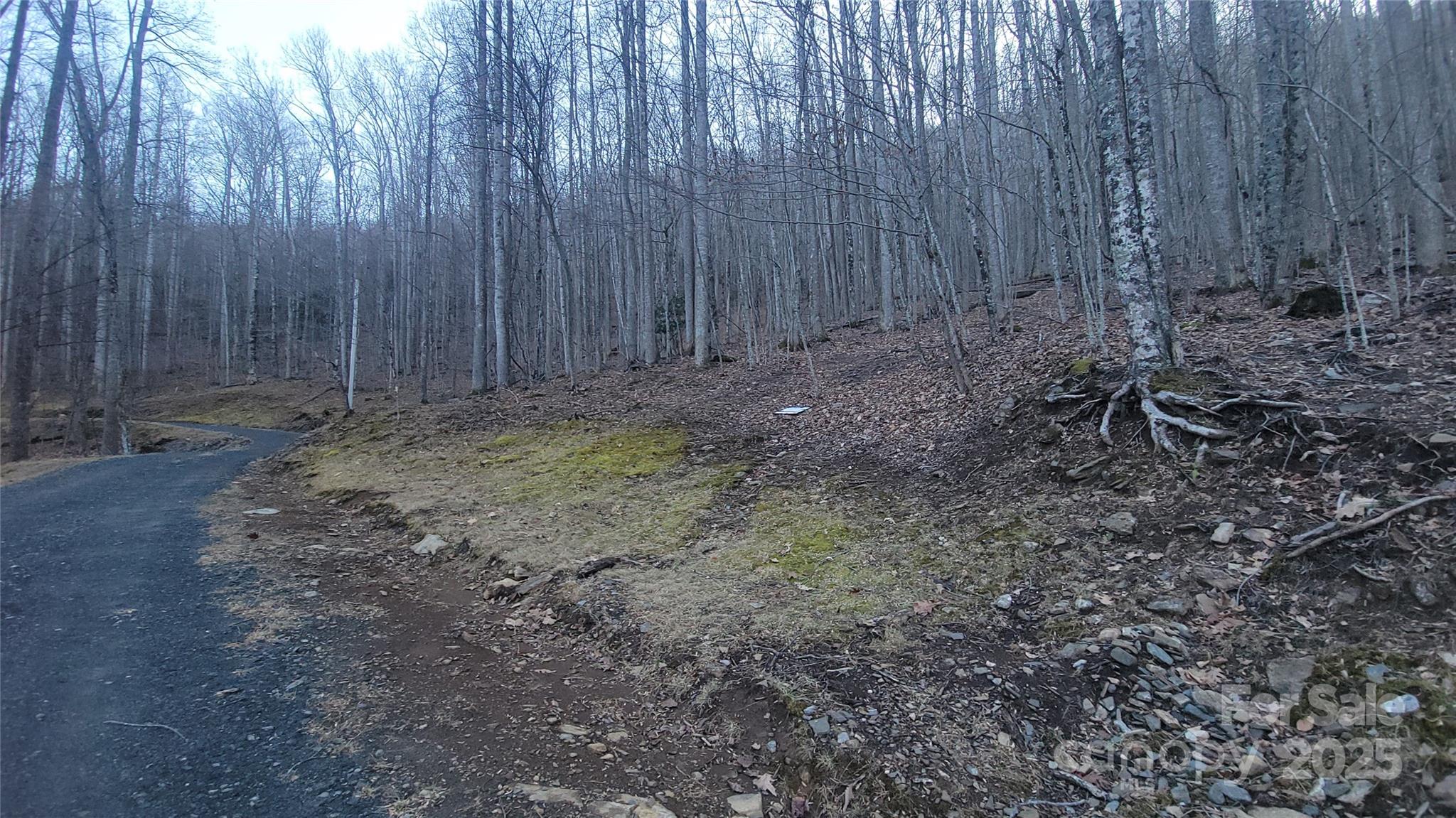 Lot 7b Hickory Springs Road Burnsville NC 28714