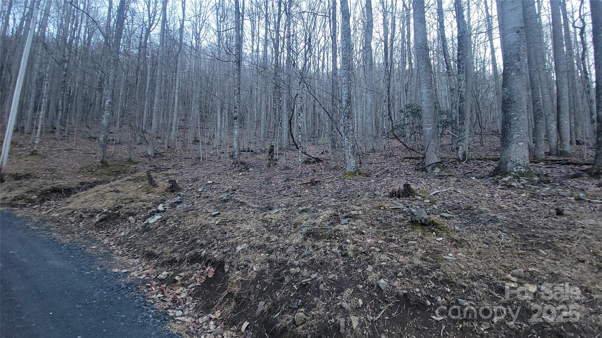 Lot 7b Hickory Springs Road Burnsville NC 28714