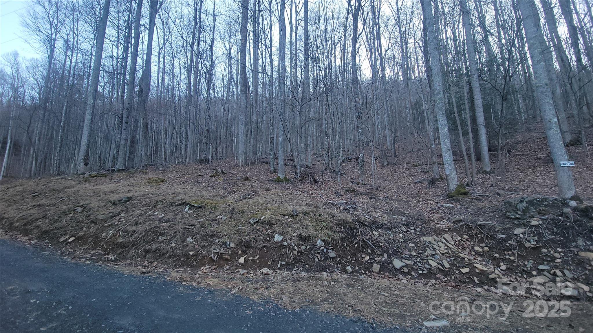 Lot 7b Hickory Springs Road Burnsville NC 28714