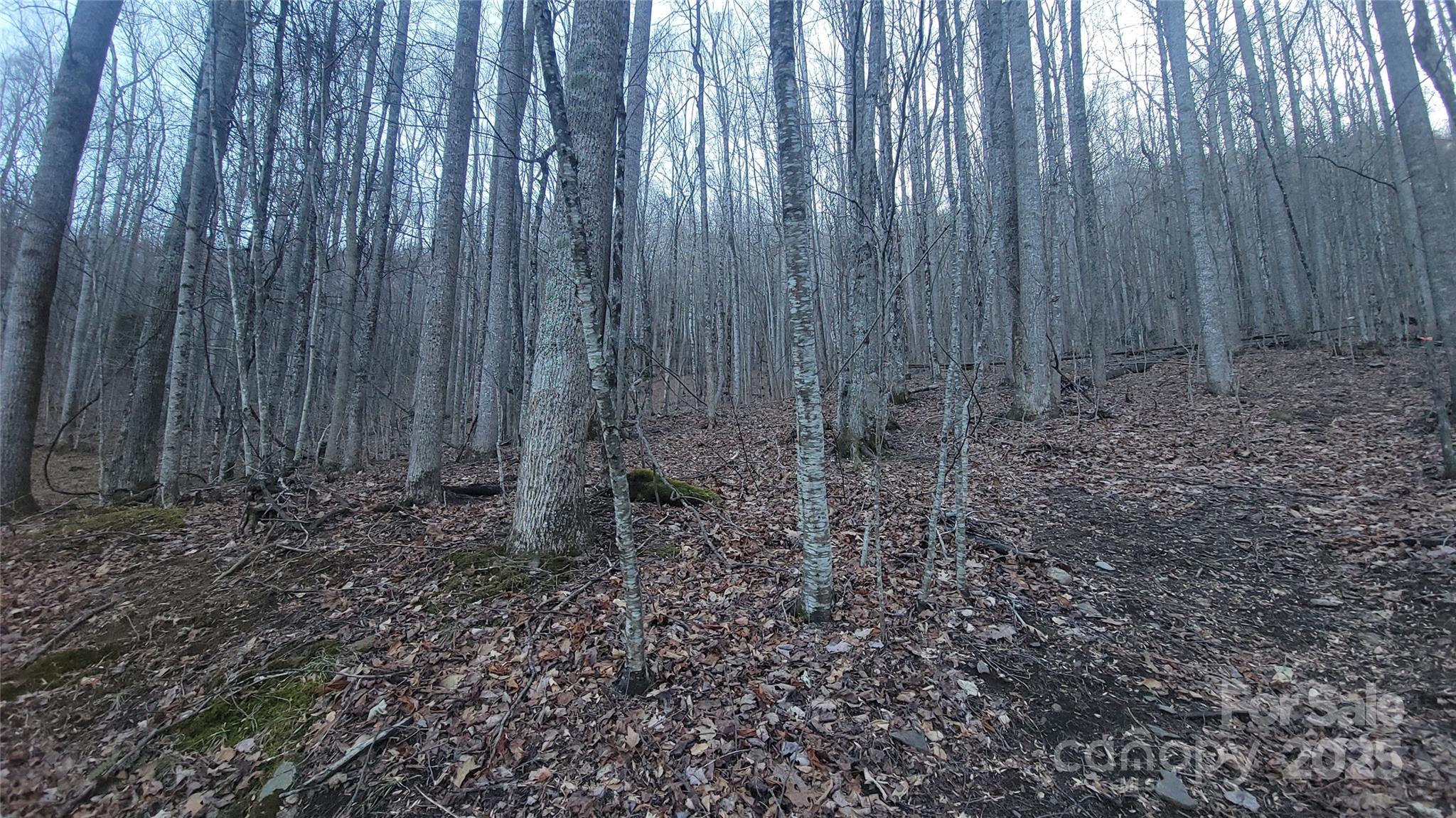 Lot 7b Hickory Springs Road Burnsville NC 28714