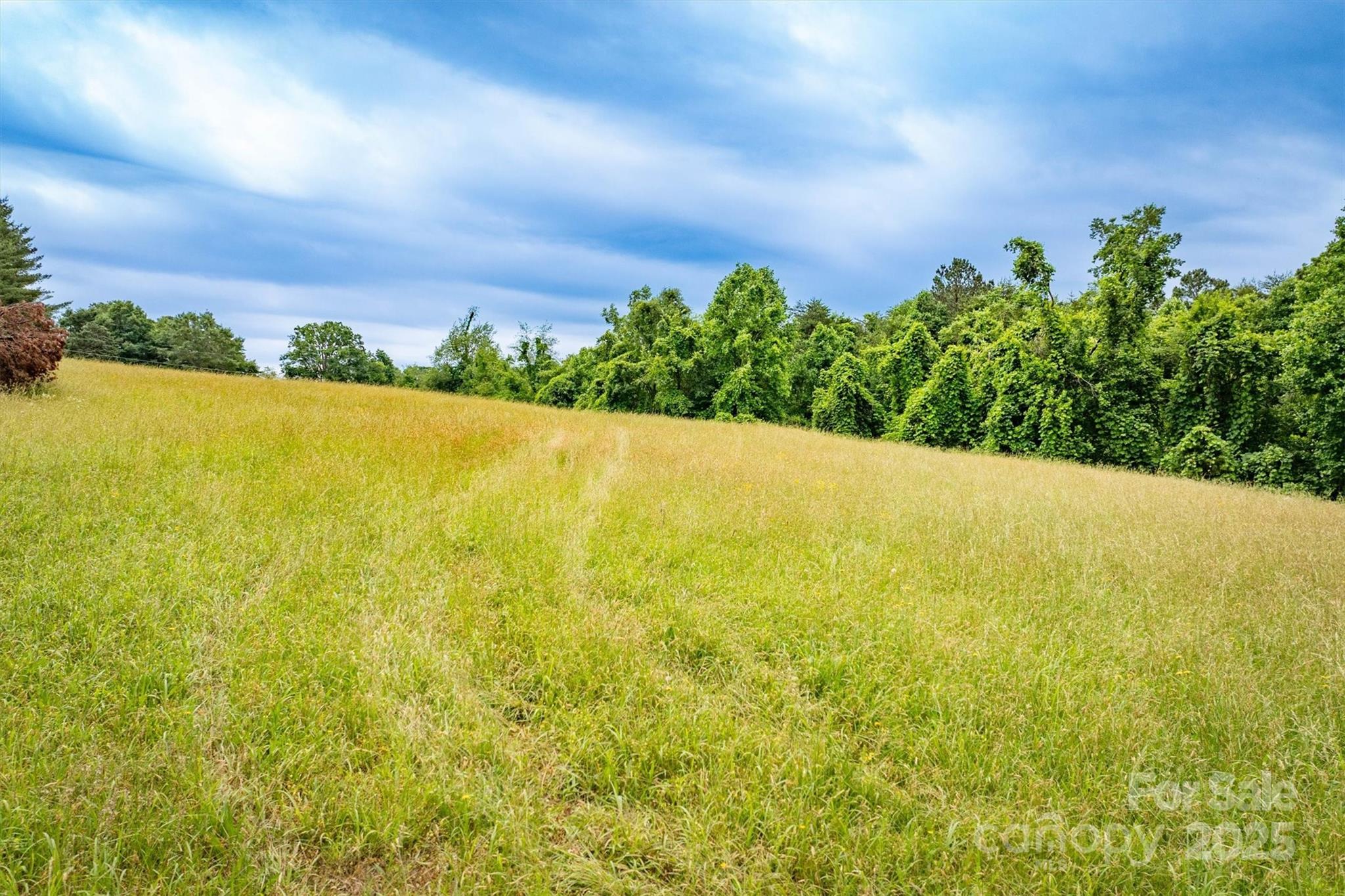 161 Windy Knoll Rutherfordton NC 28139