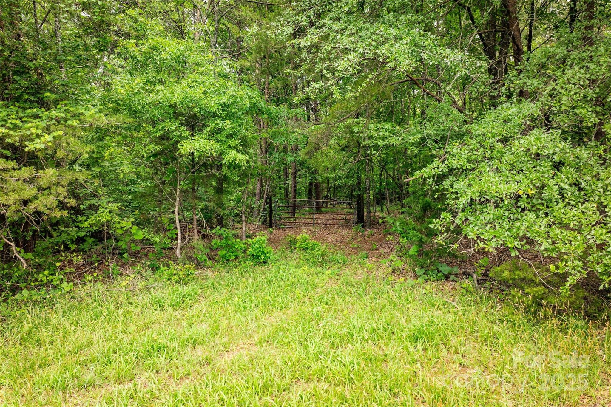 161 Windy Knoll Rutherfordton NC 28139