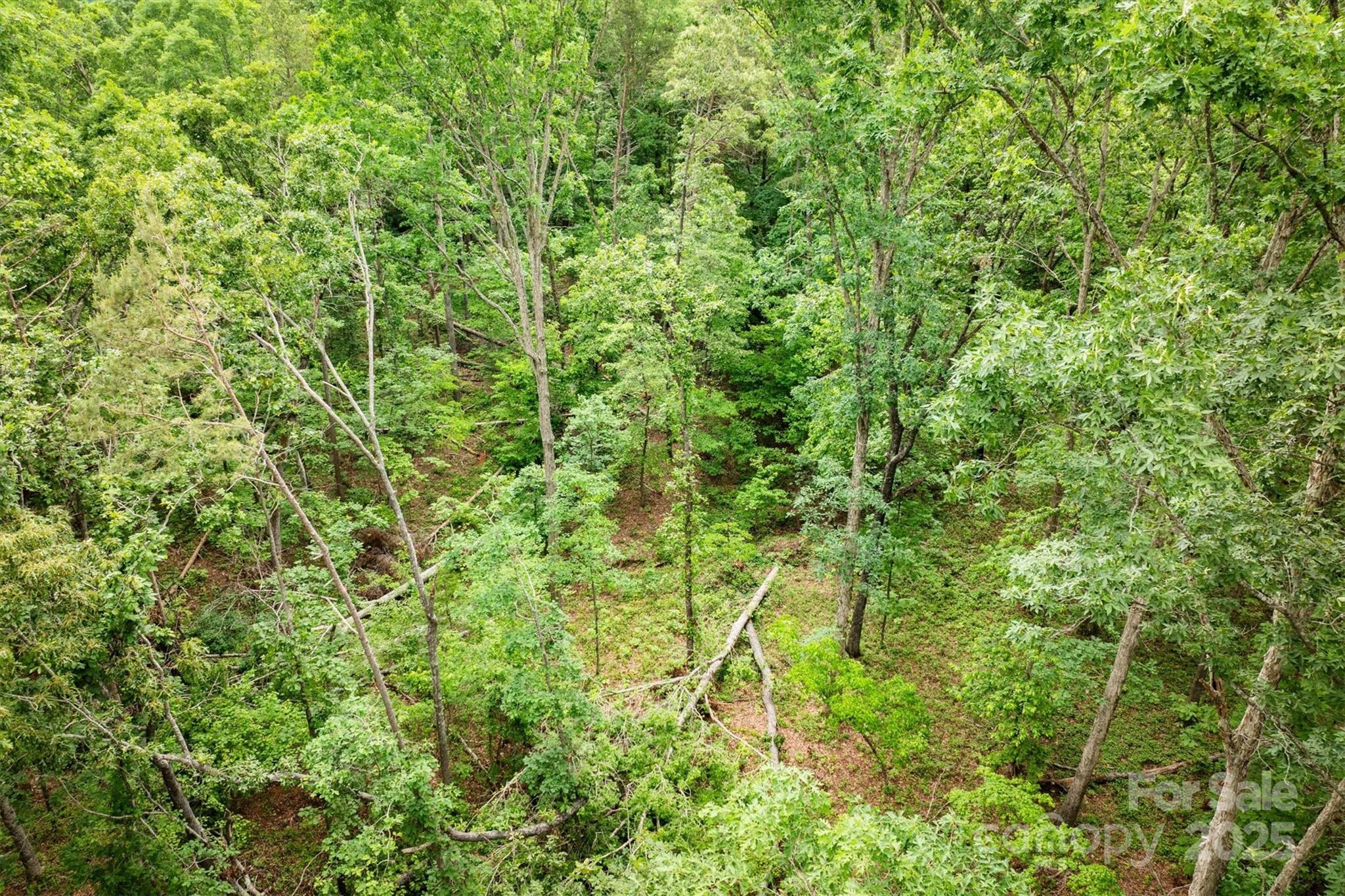 161 Windy Knoll Rutherfordton NC 28139