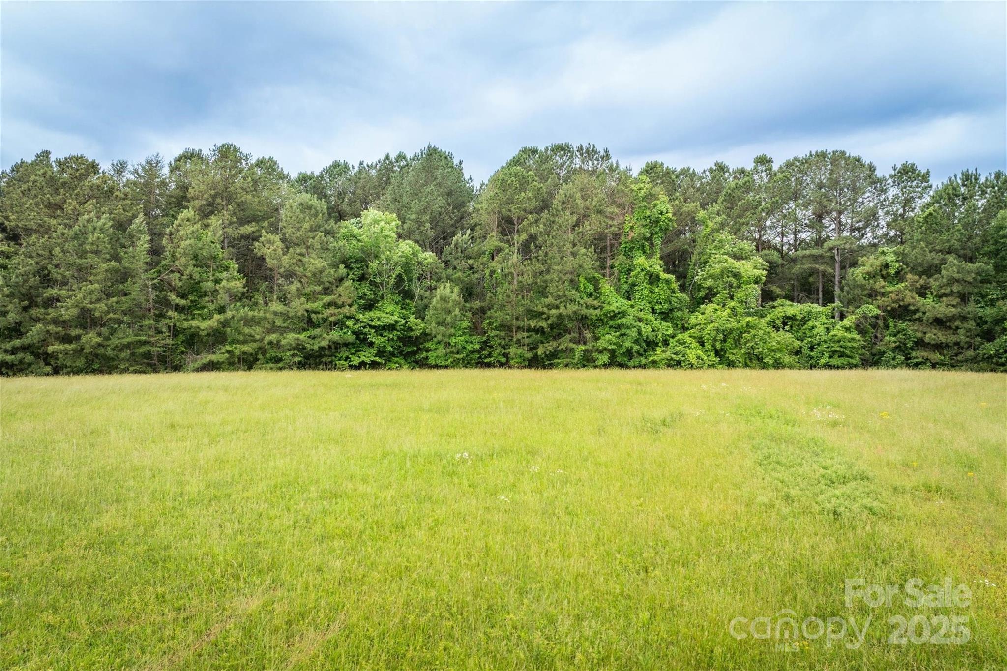 161 Windy Knoll Rutherfordton NC 28139