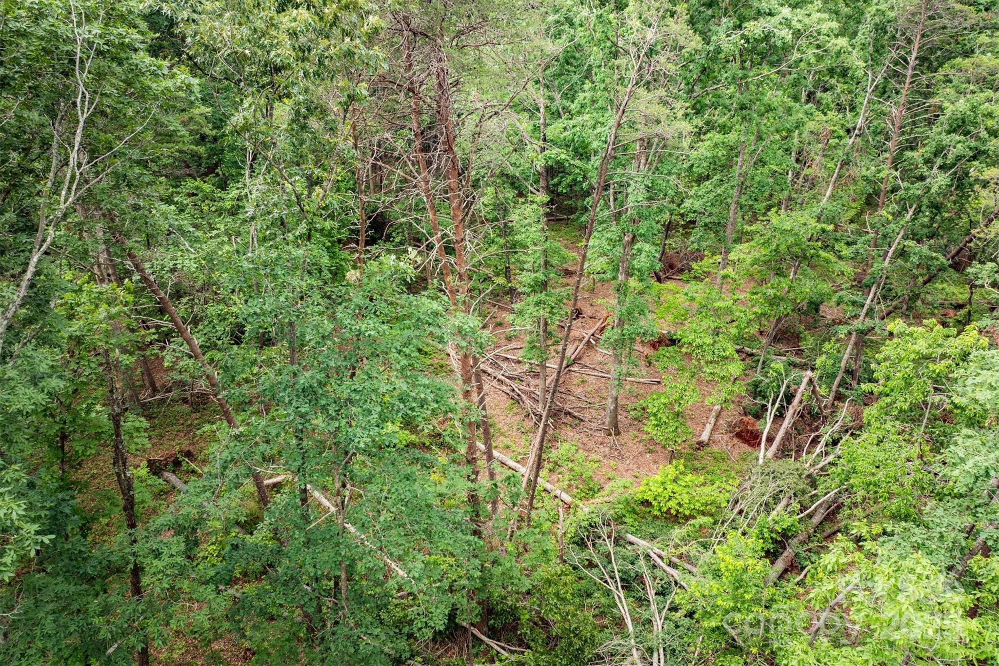 161 Windy Knoll Rutherfordton NC 28139