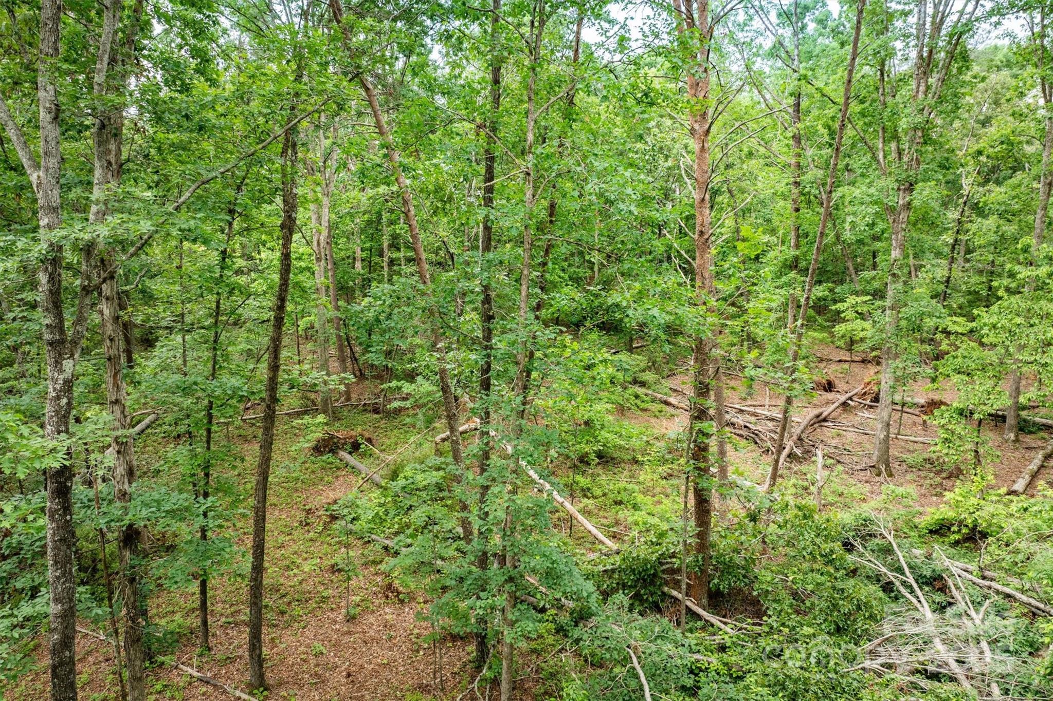 161 Windy Knoll Rutherfordton NC 28139