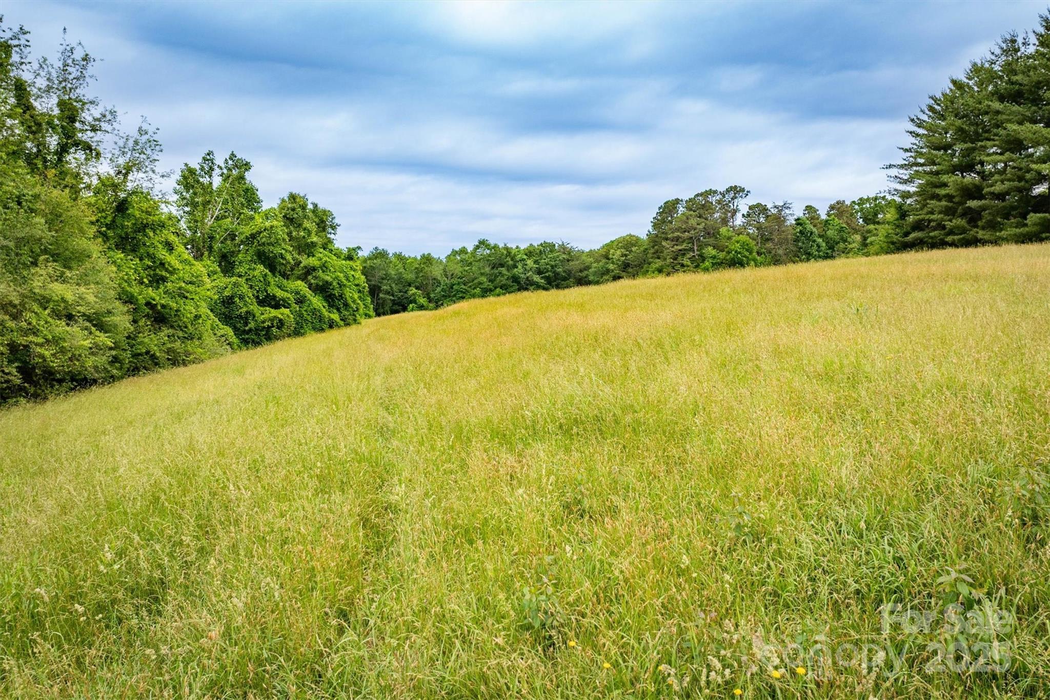 161 Windy Knoll Rutherfordton NC 28139